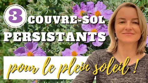 3 Couvre Sol PERSISTANTS Pour Le Plein Soleil YouTube