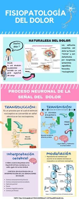 Fisiopatolog A Del Dolor Geral Limaco Udocz