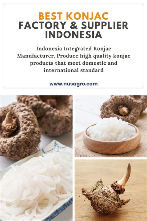 Konjac Factory & Supplier Indonesia - Nusagro