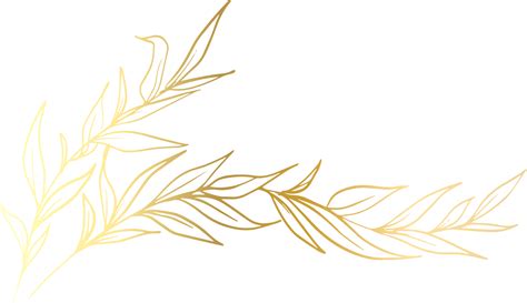 Gold Leaf Line 12414913 PNG