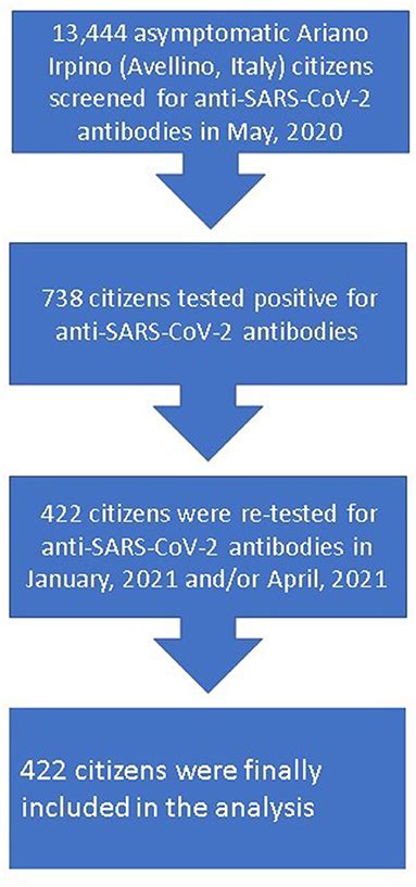 Frontiers Durability Of Humoral Immune Responses To SARS CoV 2 In