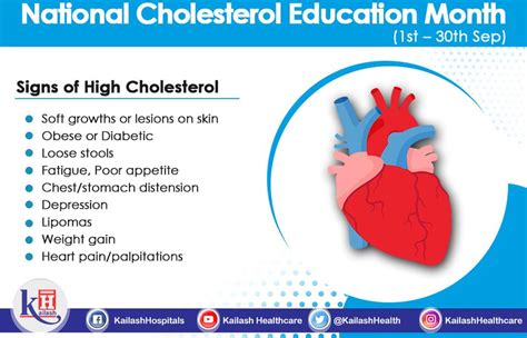 High Cholesterol Levels Due To A High LDL Level