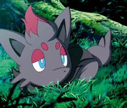 Pok Mon Zoroark Le Ma Tre Des Illusions Long M Trage D