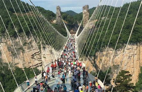 Private Tour Of Zhangjiajie Grand Canyon With Glass Bridge Getyourguide