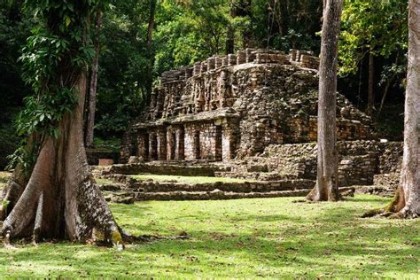 Excursi N A Yaxchil N Y Bonampak Desde Palenque Civitatis