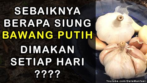 Berapa Siung Bawang Putih Yg Baik Untuk Di Konsumsi Setiap Hari Youtube