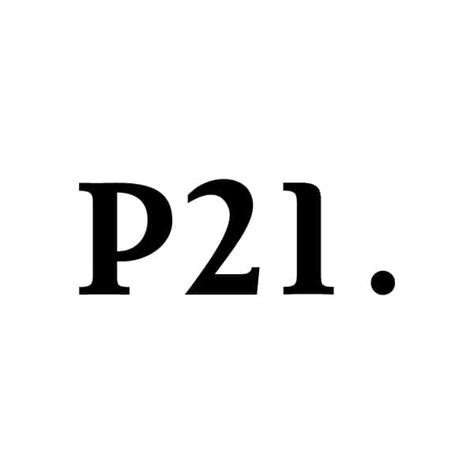 Maßnahmenübersicht — P21 GmbH