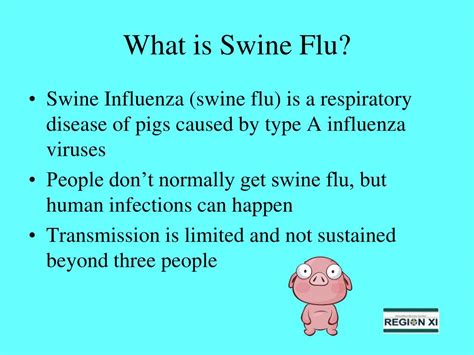 Ppt How To Combat Swine Flu Powerpoint Presentation Free Download Id 5872124