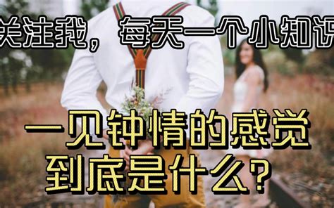 一见钟情的感觉到底是什么？ 哔哩哔哩