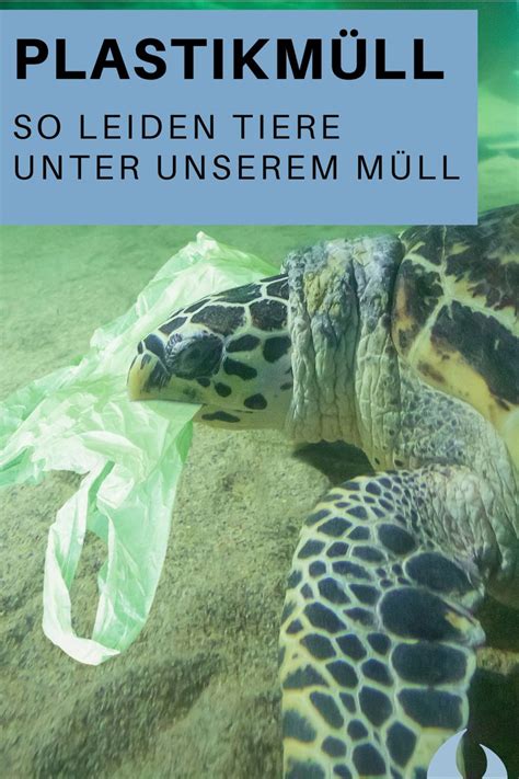 Diese Seite ist aktuell nicht erreichbar Plastikmüll im meer