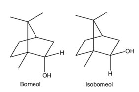 The NMR spectrum of isoborneol shows three separate methyl peaks, but ...