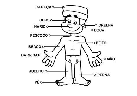 Atividades Parte Do Corpo 1 Ano - BINKEDU