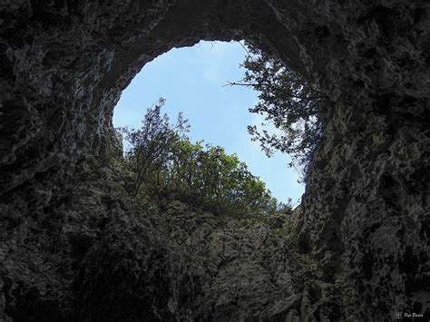 Cova Del Portell Coves De Catalunya Espeleoworld