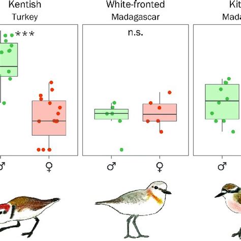 3 Interspecific Variation In Sex Specific Mating Opportunities Among Download Scientific