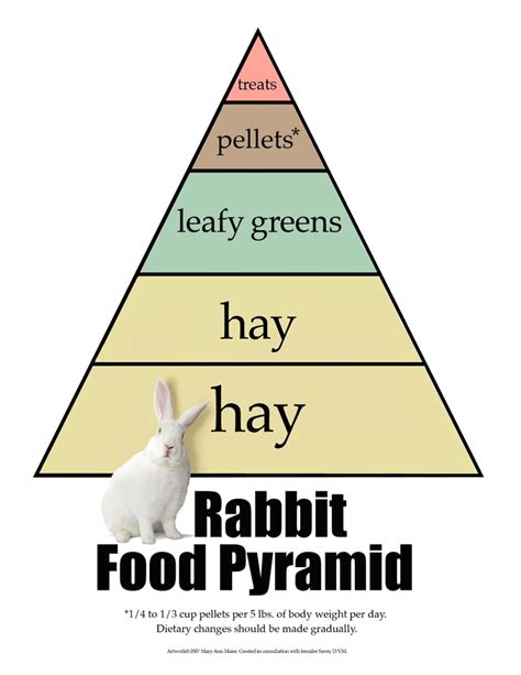 Rabbit Food Pyramid Pet Bunny Rabbits Rabbit Diet Rabbit Hutches