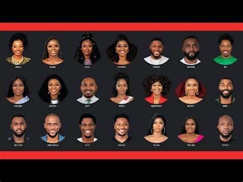 Big Brother Naija Meet The Housemates Season Pepper Dem