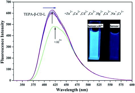 A Supramolecular Self Assembly Hostguest System From Cyclodextrin As