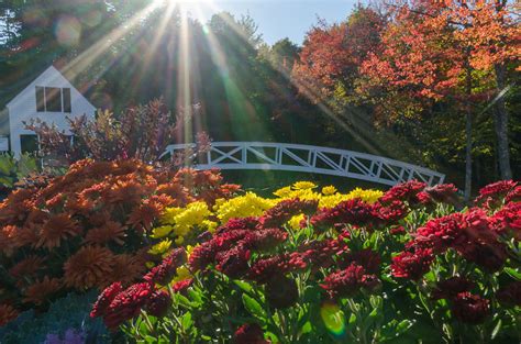 Maine Fall Foliage Wallpaper Wallpapersafari