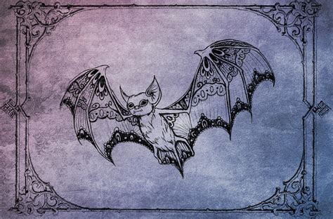 Lace Bat By Black Kittie On DeviantArt