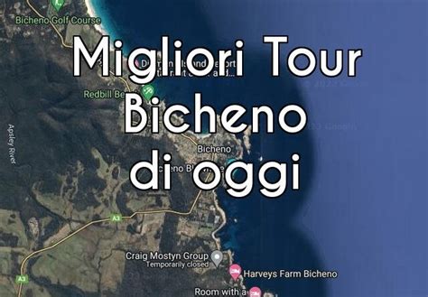 Bicheno I Migliori Tour Di Oggi Viaggiopro It