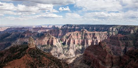 Geology Rocks: Grand Canyon Fossils | Grand Canyon Trust