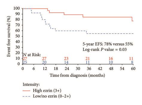 Kaplan Meier Estimates Of 5 Year Event Free Survival Efs For Patients Download Scientific