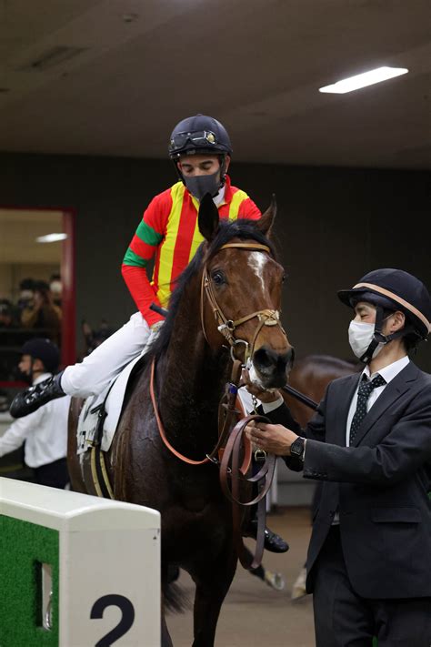 【新谷の土曜競馬コラム・stv賞】 日刊ゲンダイ競馬