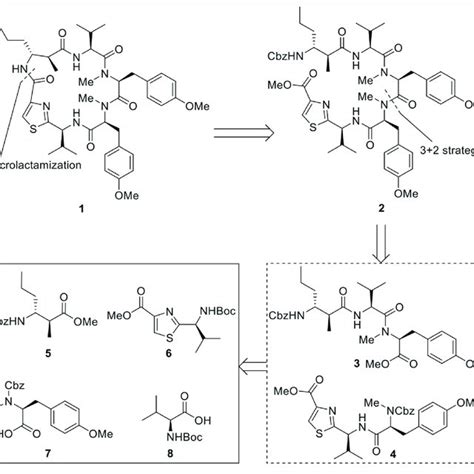 Synthesis Of β Amino Acid 11 Download Scientific Diagram