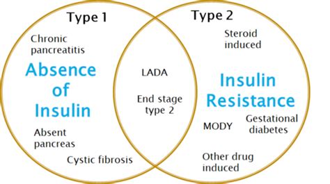 Diabetes Flashcards Quizlet