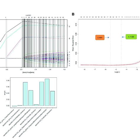 Radiomics Feature Selection Using Lasso Regression Model A Displays