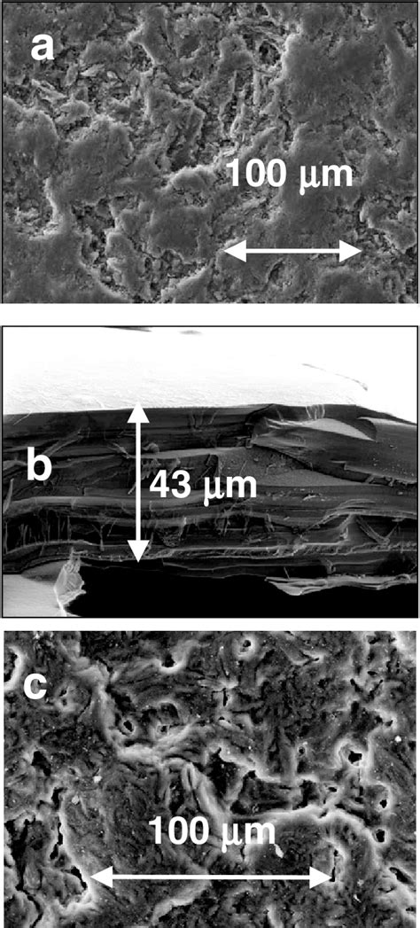 Surface Topography Of A Virgin Toyo Tanso Graphite Before Exposure At