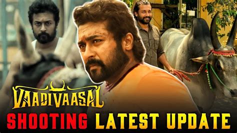 Breaking Vaadivaasal Movie Shooting Starts From April Or May 2023 🥳🔥