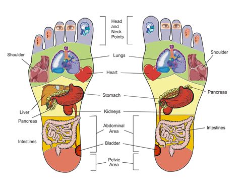 Advanced Holistics Why Learn Reflexology The Beauty Academy