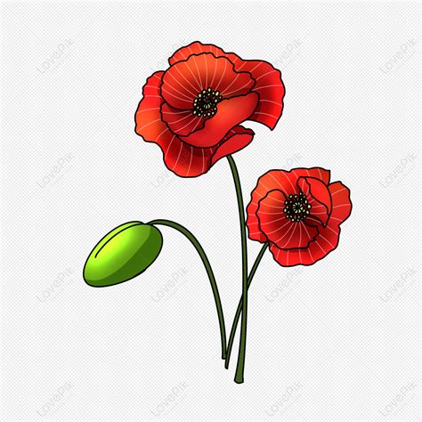 Amapolas Blancas Png Im Genes Con Fondo Transparente Descarga