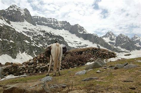 The Lidder Valley Kashmir 2021 All You Need To Know Before You Go