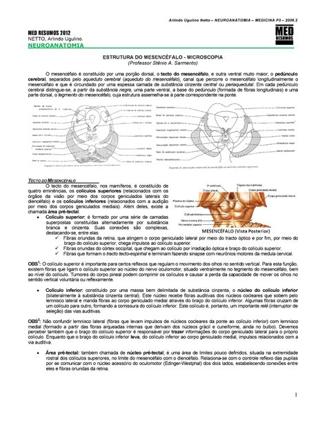 Neuroanatomia Microscopia Do Mesencéfalo Arlindo Ugulino Netto