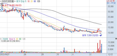 하이드로리튬 주가 전망에 관한 장중 특징주의 쉬운 주가 설명 231222
