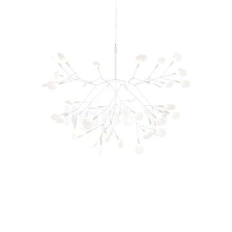 Moooi Heracleum lámpara de suspensión LED en light11 es