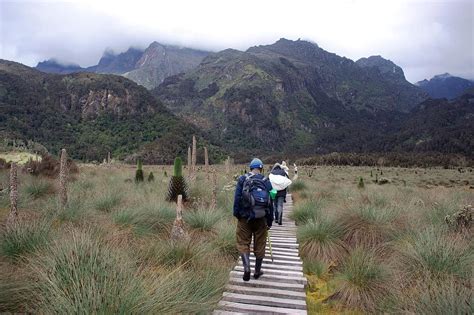 A Guide To Climbing The Rwenzori Mountains Travel Dudes