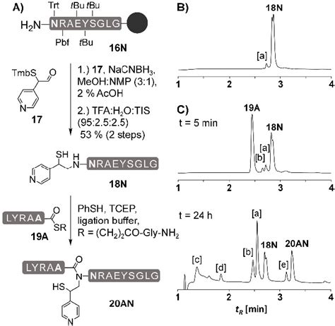 A Introduction Of The Para Mpye Auxiliary And Ncl Of Para Mpyepeptide