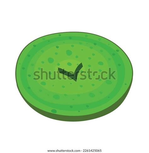Indonesian Traditional Snack Food Sorabi Baked Stock Vector (Royalty ...