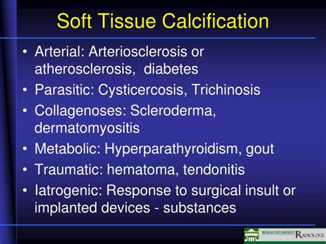 PPT - Soft Tissue Calcifications PowerPoint Presentation - ID:2257854