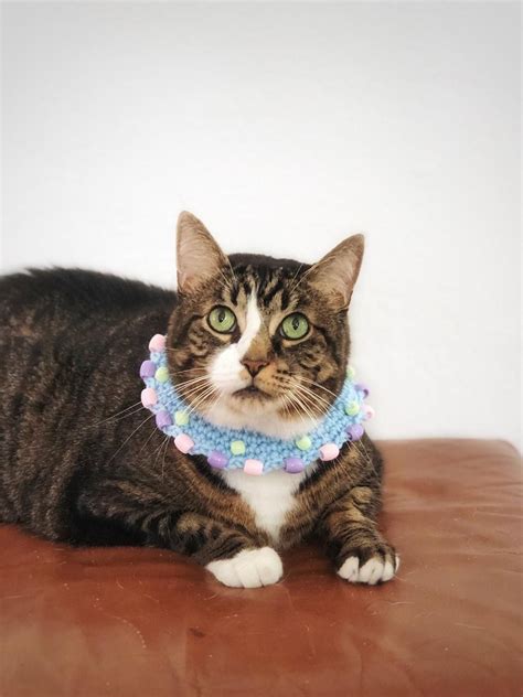 Valentines Cat Collar Beaded Cat Necklace Blue With Multicolored Beads