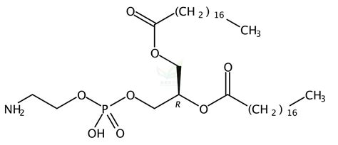 12 二硬脂酰基 Sn 丙三基 3 磷脂酰乙醇胺二硬脂酰基磷脂酰乙醇胺 12 Distearoyl Sn Glycero 3