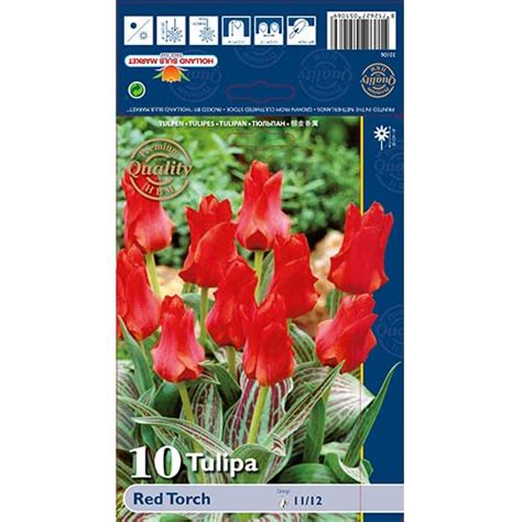 Tulip Red Torch 67814 Sibulad Osta Soodsamalt GradinaMax Ee