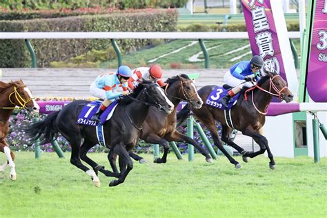 【天皇賞・秋】ルメール騎乗 イクイノックスが快勝！g1・1番人気馬の呪いをストップ 競馬ニュースなら競馬のおはなし