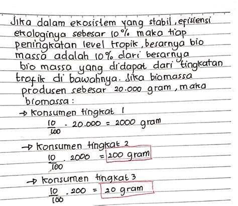 Di Dalam Ekosistem Yang Stabilbila Efisiensi Ekolog Tanya Mipi