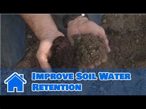 Using Soil How To Improve Soil Water Retention Youtube