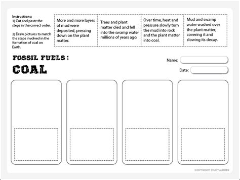 Steps Of Coal Formation - Studyladder Interactive Learning Games