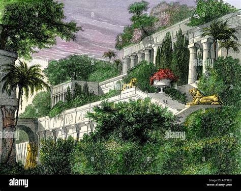 I Giardini Pensili Di Babilonia Immagini E Fotos Stock Alamy